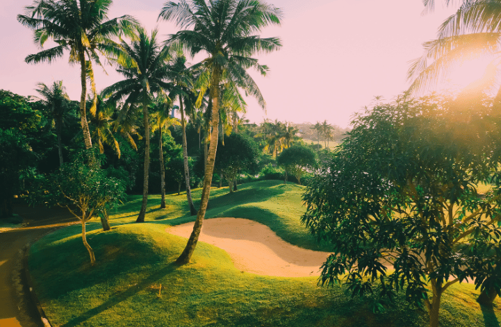 golf course with palm trees