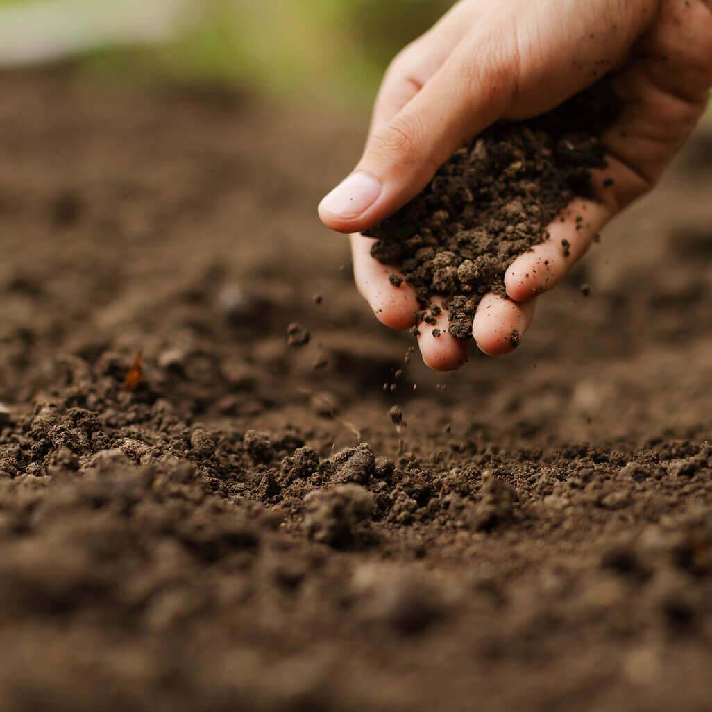 man touching soil
