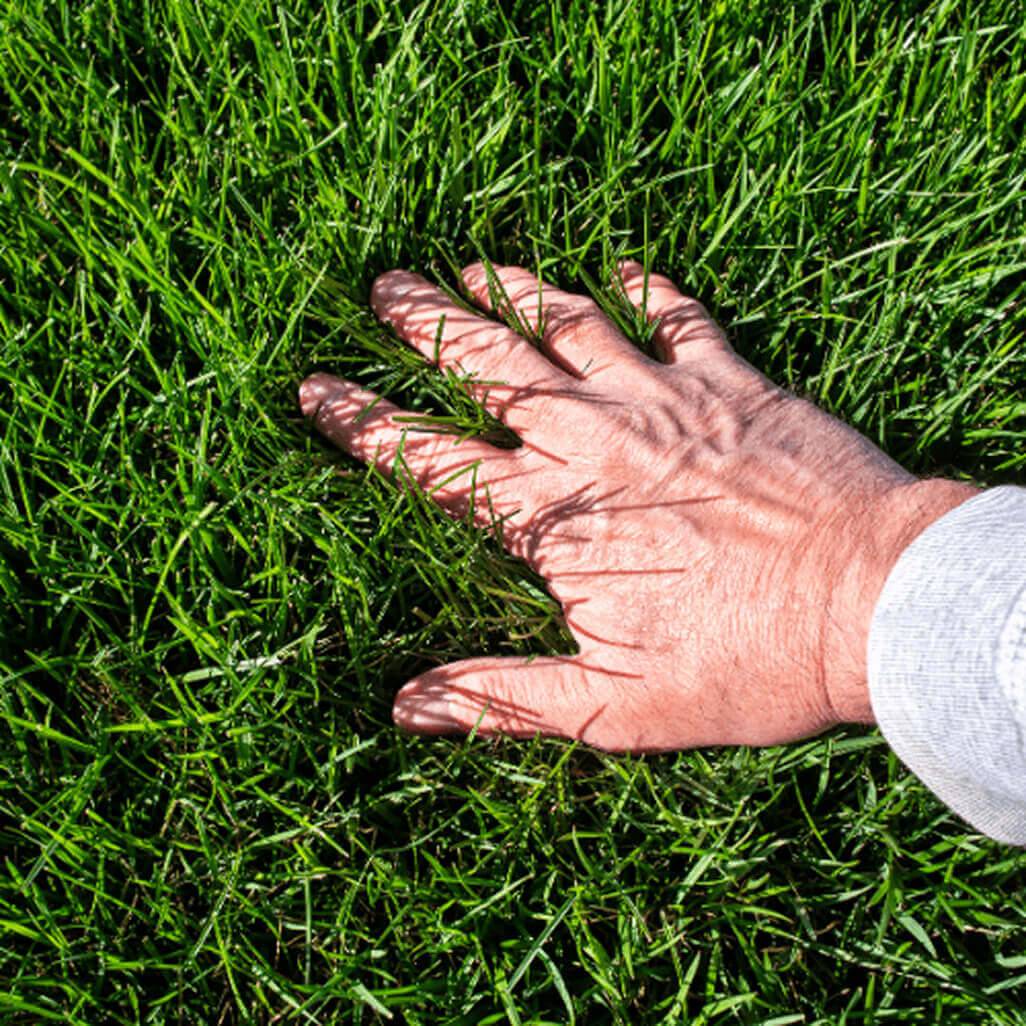 man touching grass
