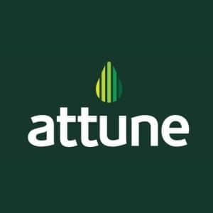 attune branding