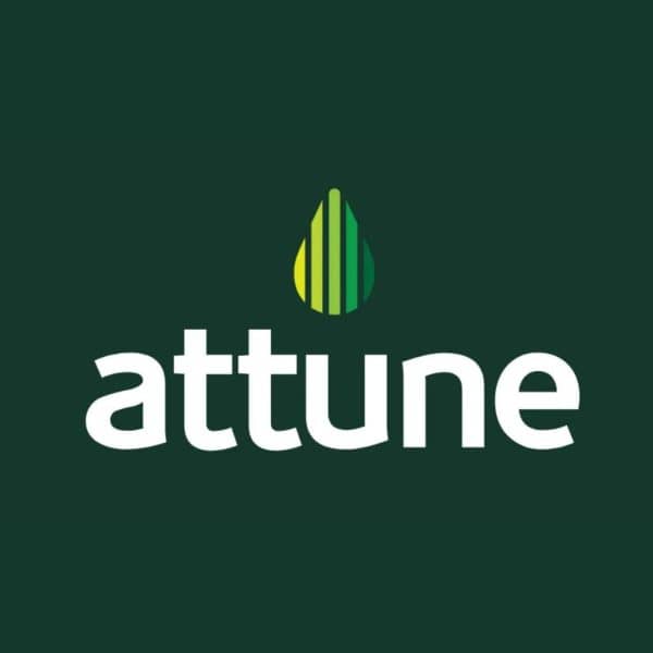 attune branding