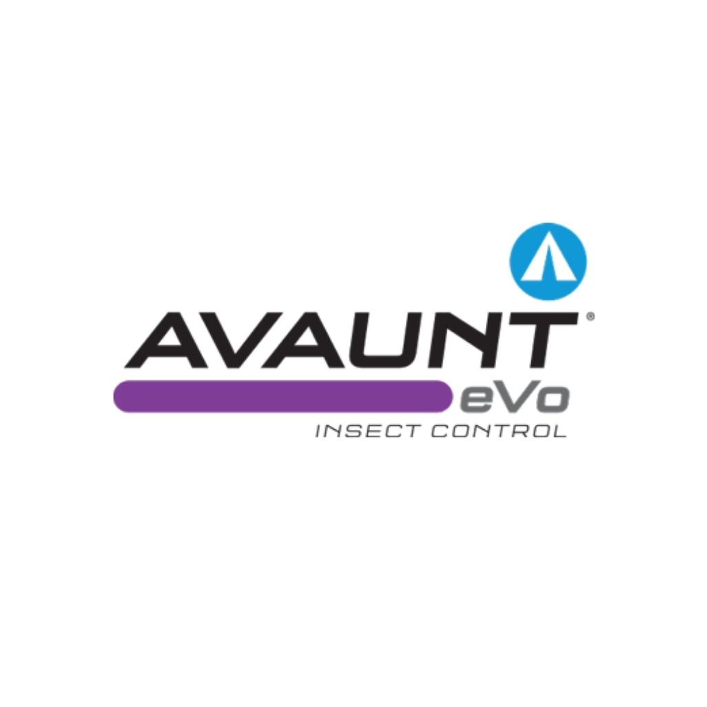 Avaunt Evo branding
