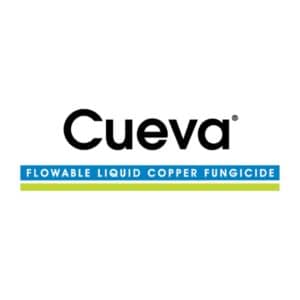 Cueva branding