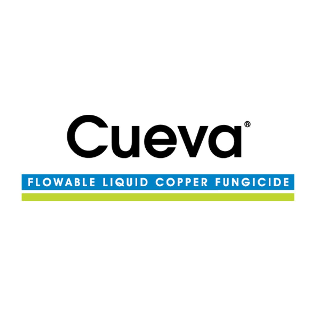 Cueva branding