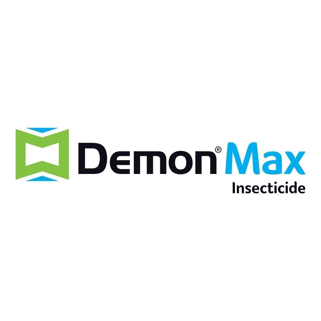 demon max branding