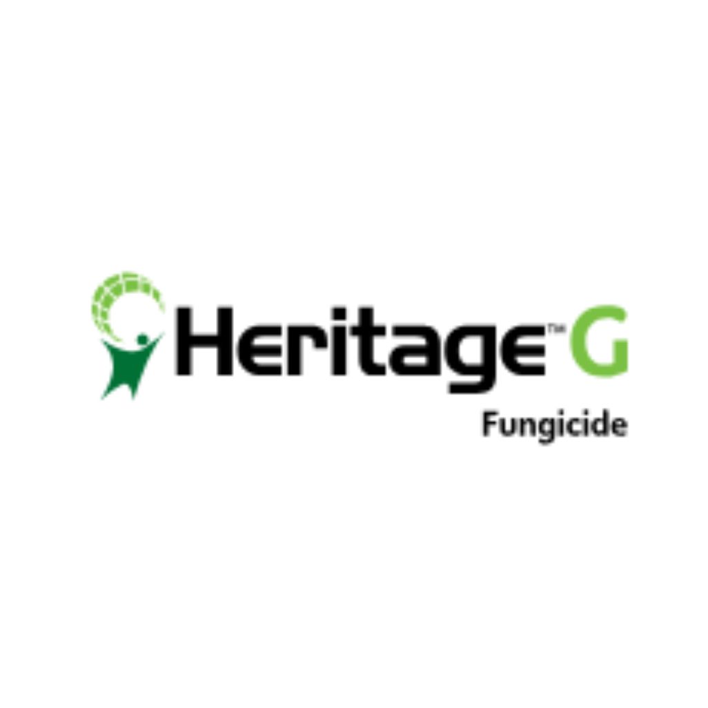 Heritage G branding