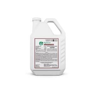 Sulfen Southern branding