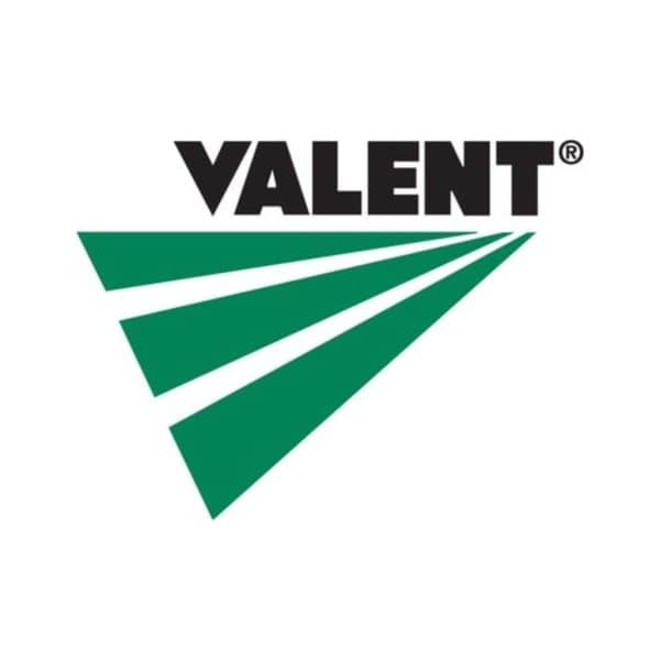 Valent branding