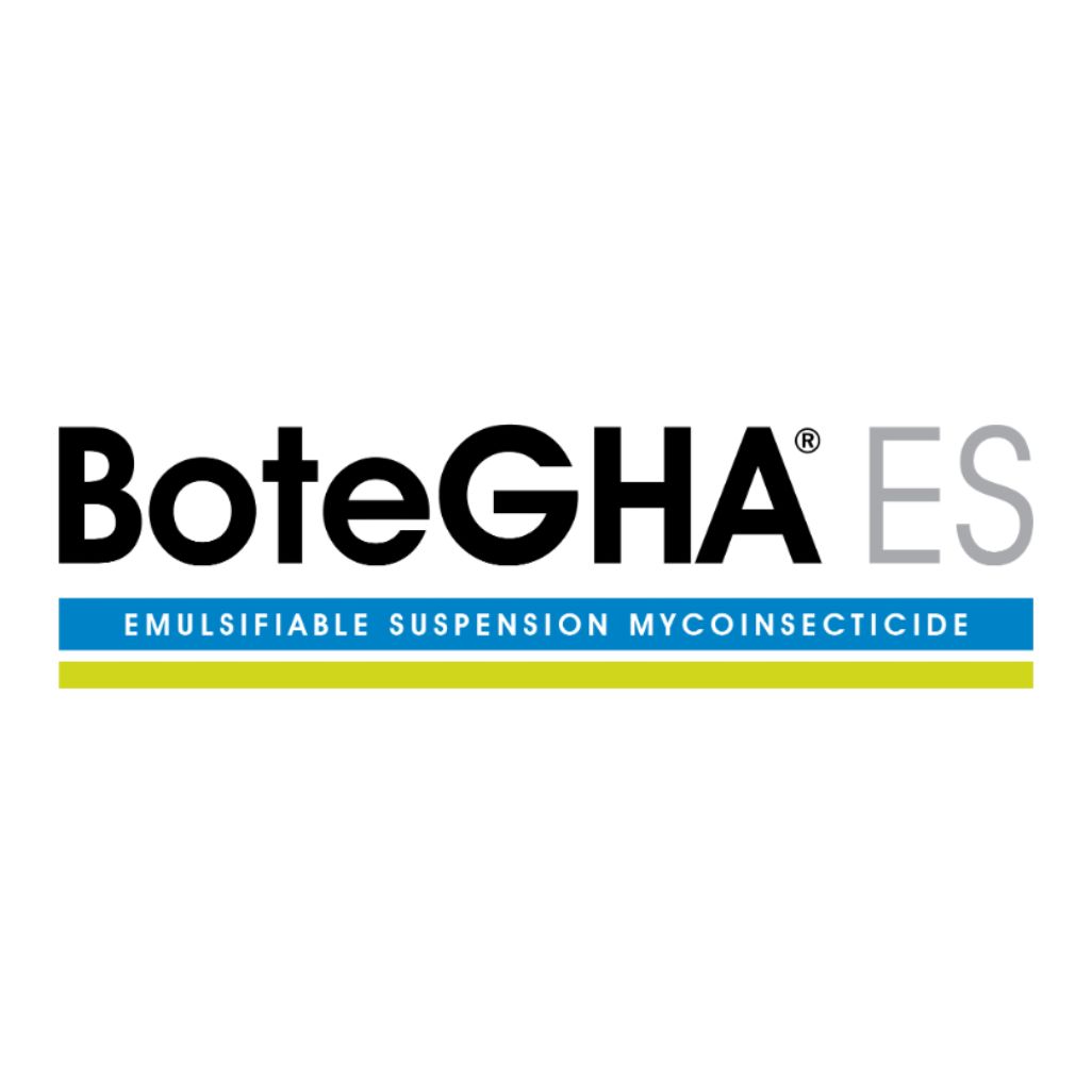 BoteGHA ES branding