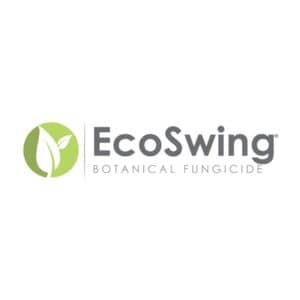 EcoSwing branding