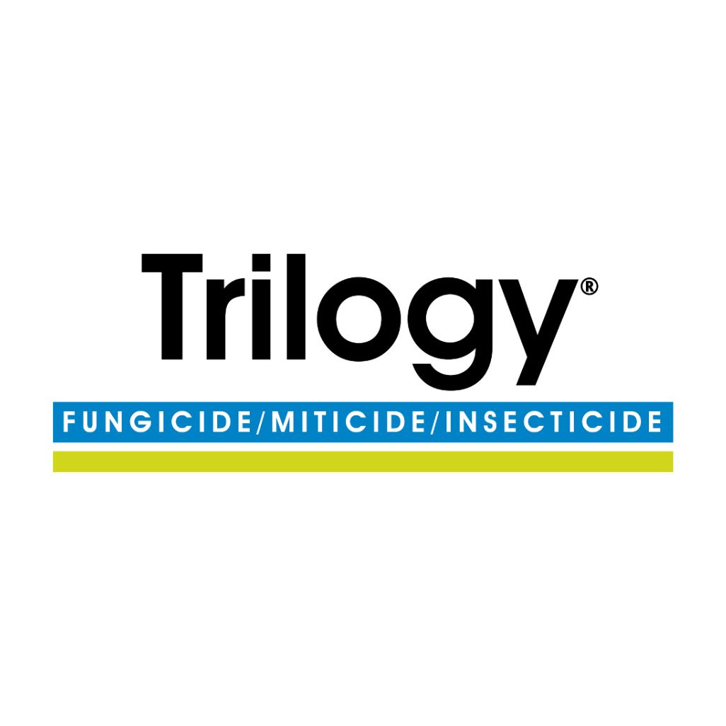 Trilogy branding