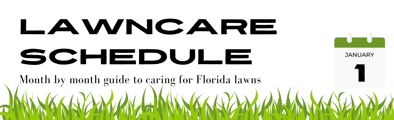 Florida Lawncare Schedule graphic for January