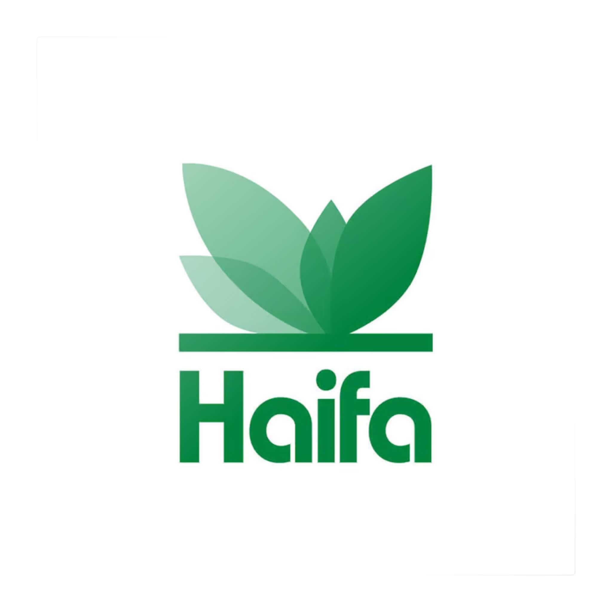 Haifa branding
