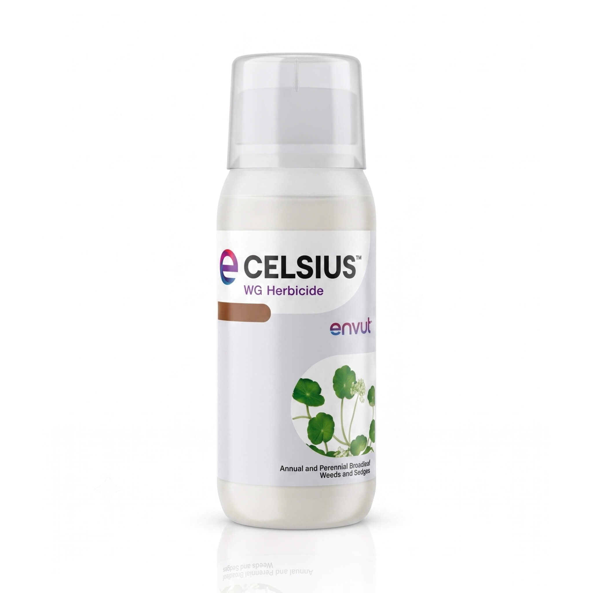 Celsius WG