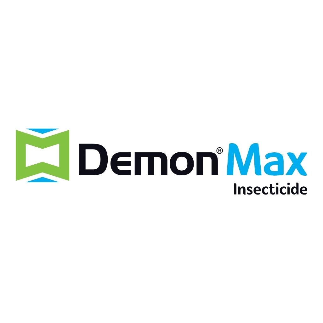 demon max branding