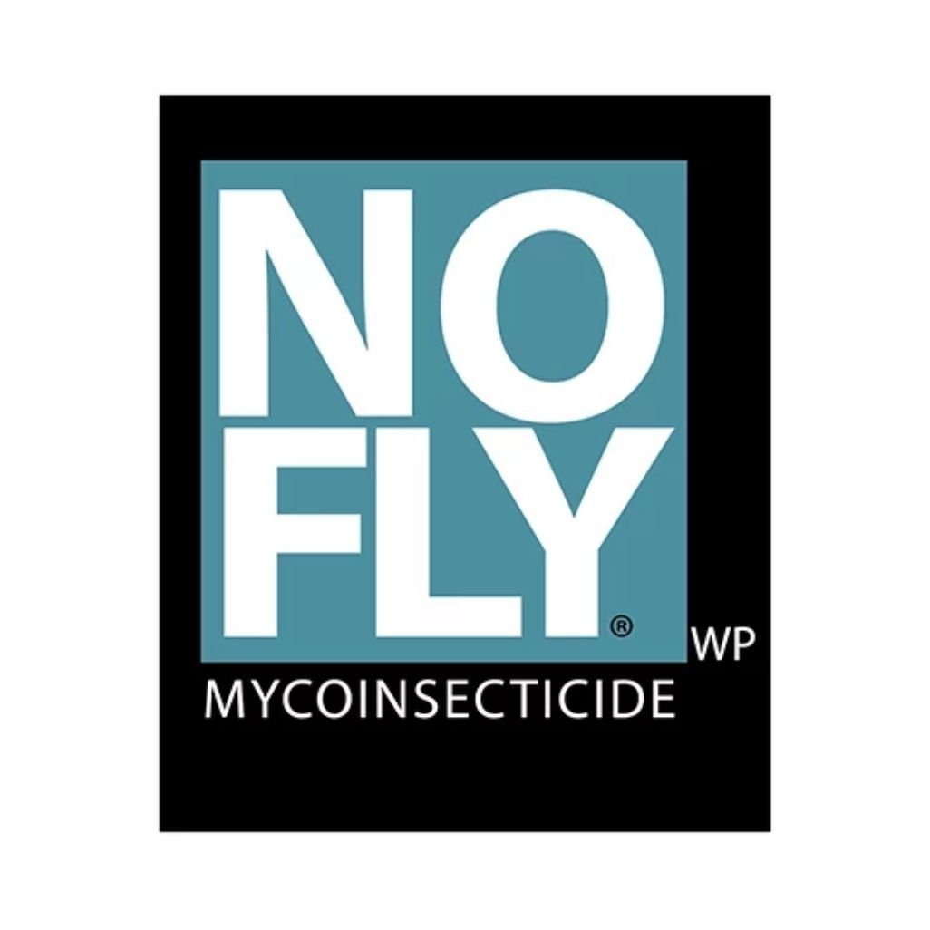 no fly branding