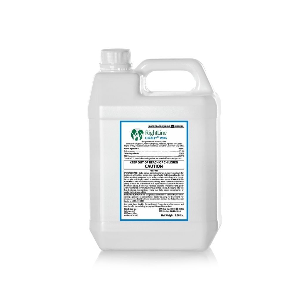 Loyalty WDG branding