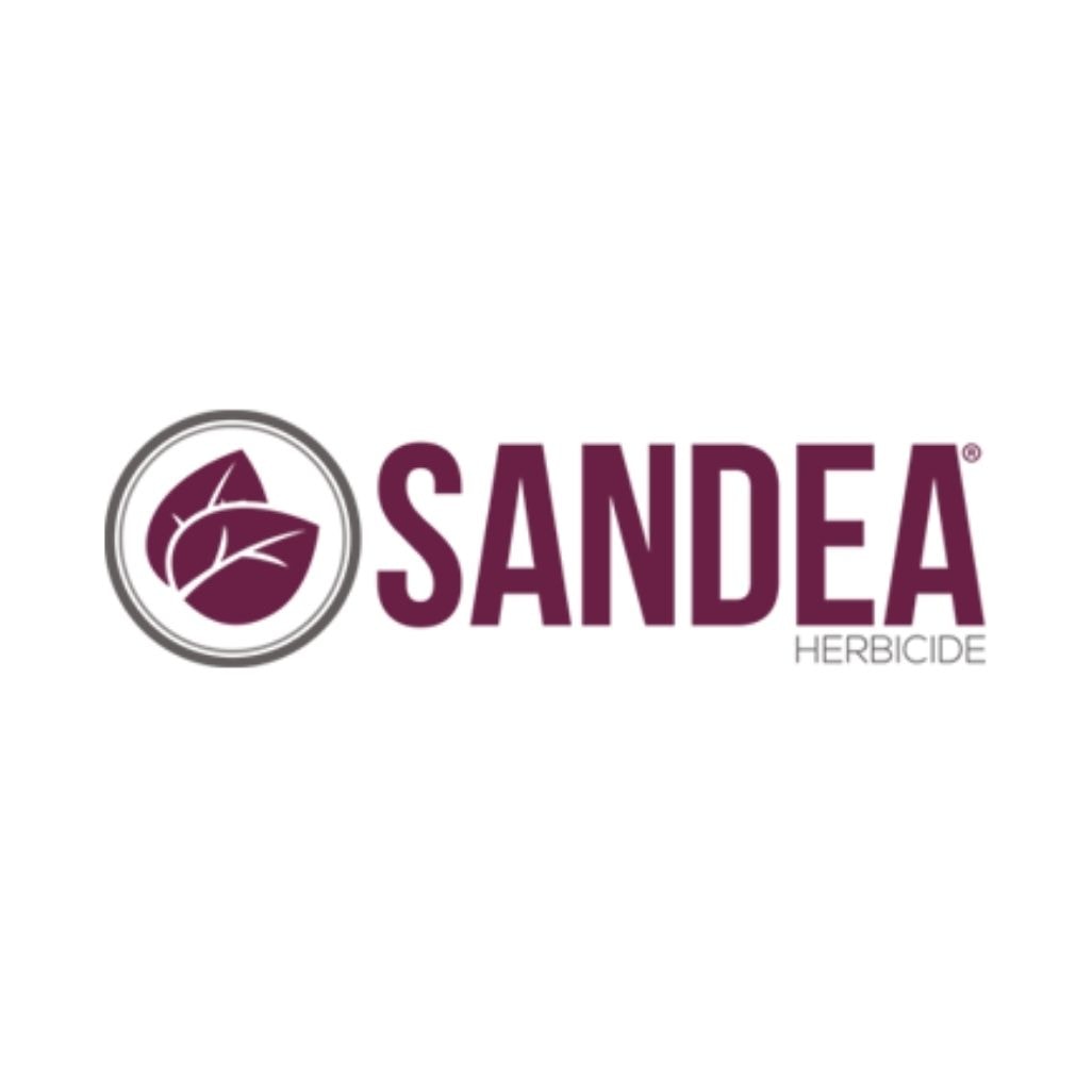 Sandea branding