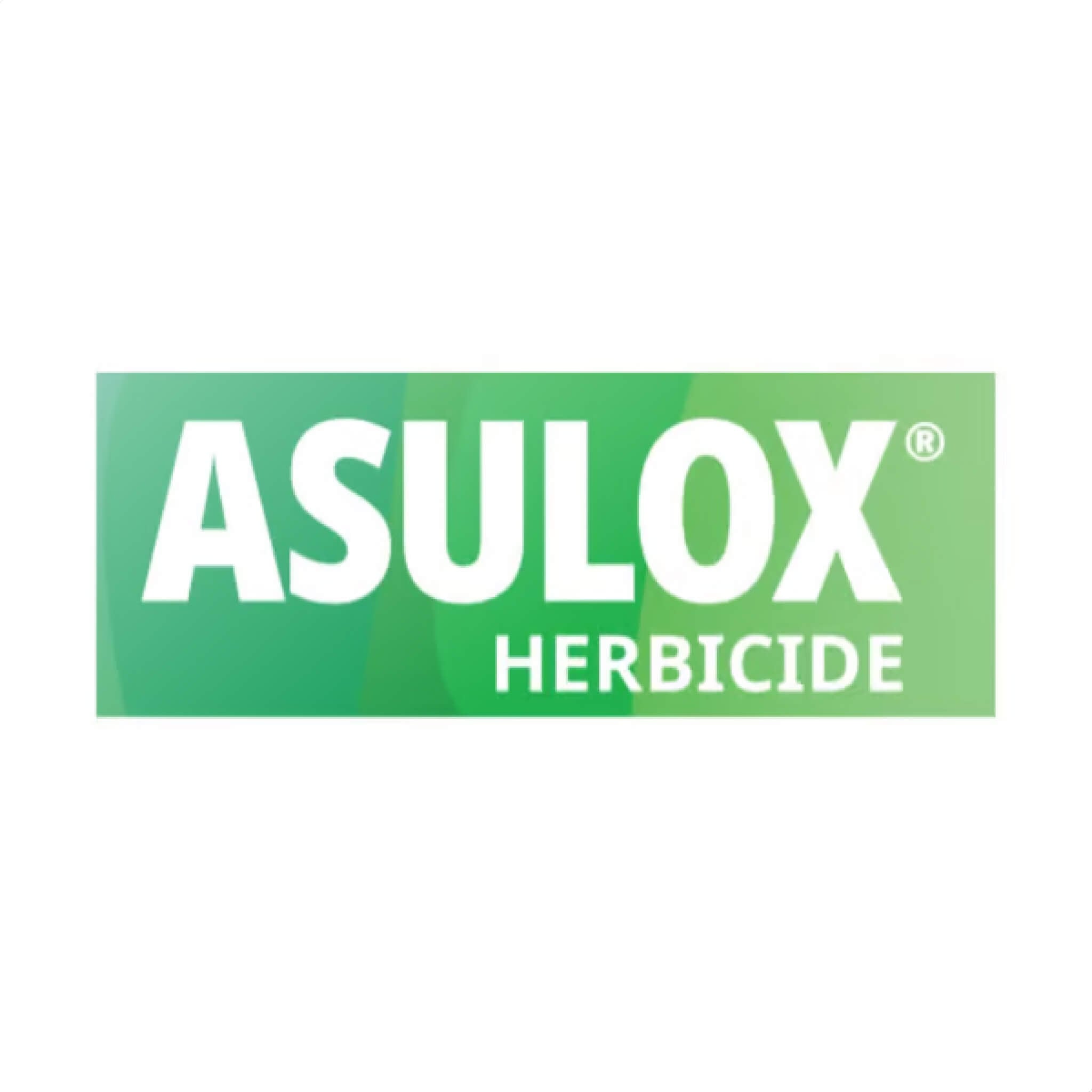 Asulox branding
