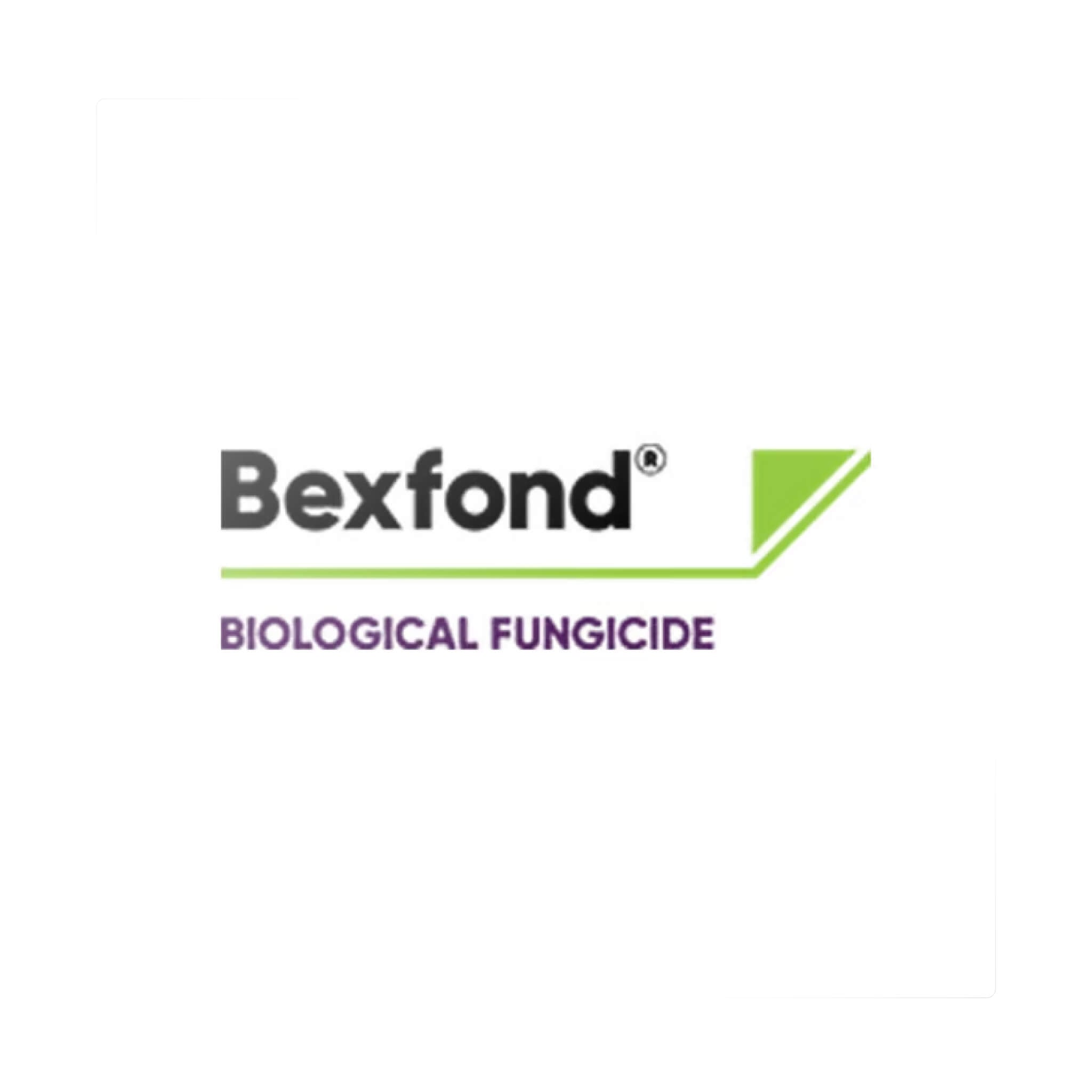 Bexfond branding