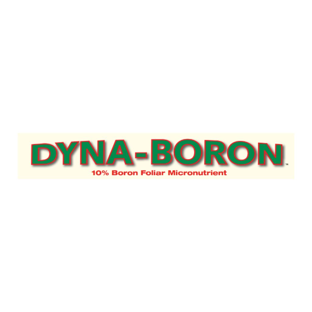 Dyna-Boron branding