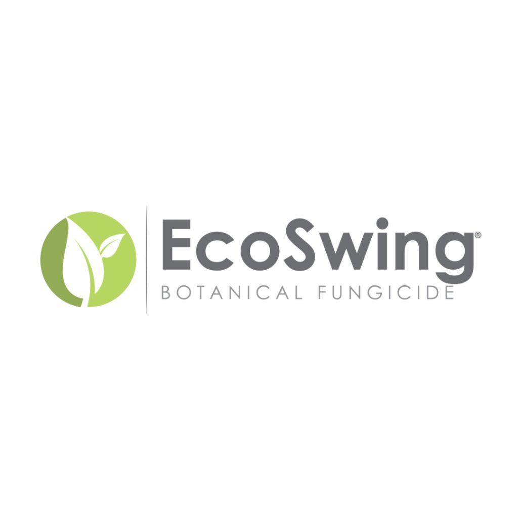EcoSwing branding
