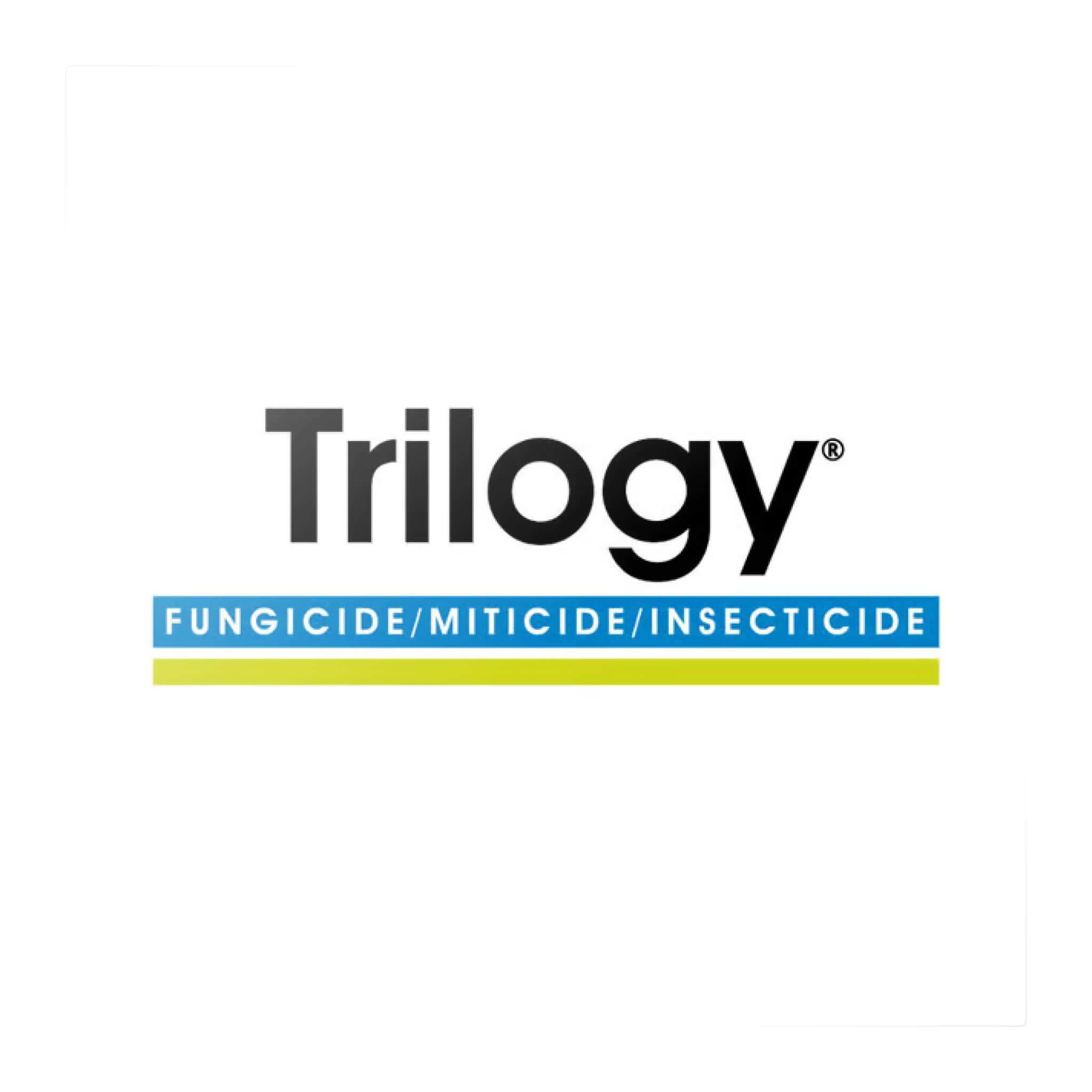 Trilogy branding