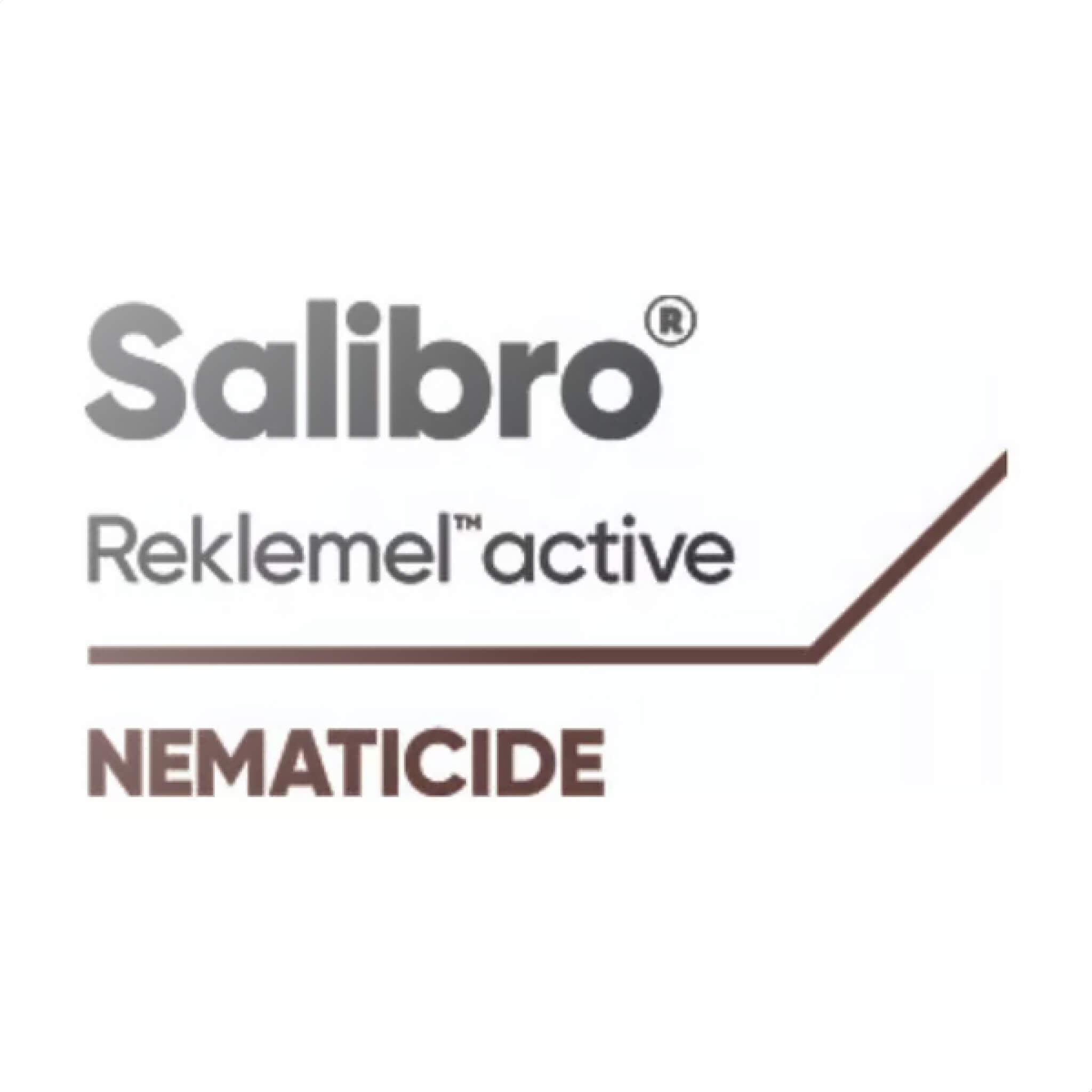 Salibro branding