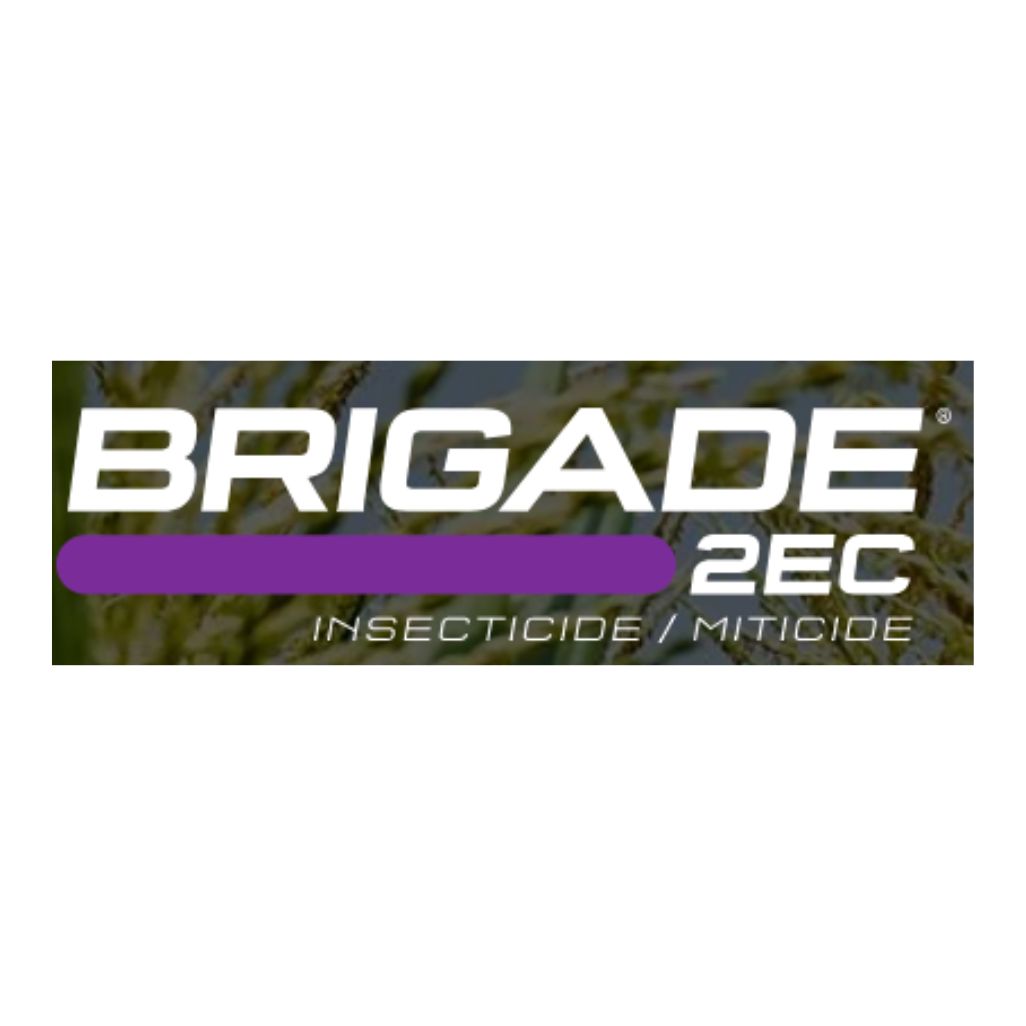Brigade 2EC
