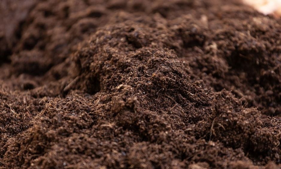 closeup of soil