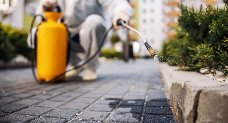 Pest control man spraying curb.