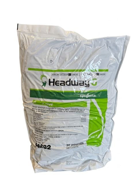 Headway G