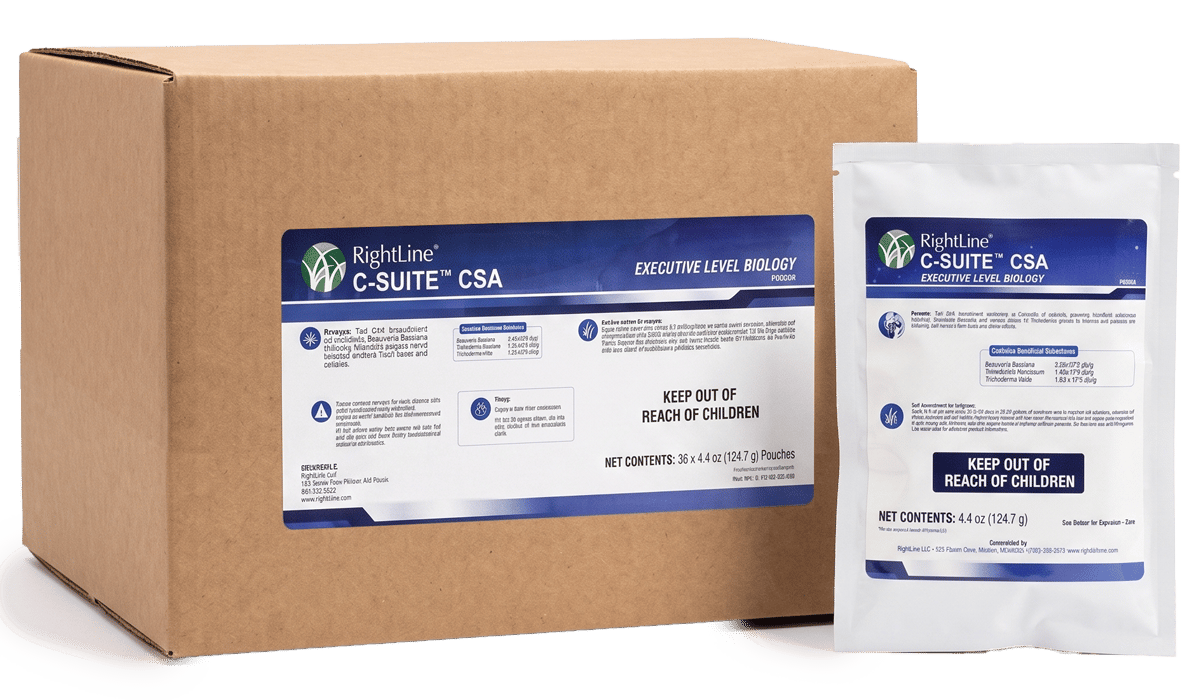 C-Suite CSA