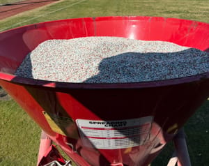 bermuda fertilizer