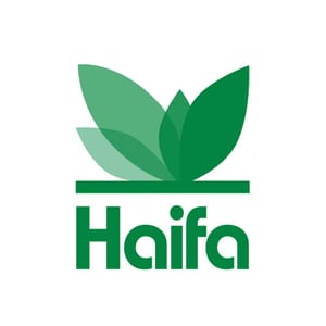 Haifa branding
