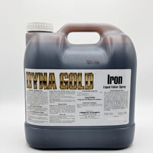 Dyna Gold Iron
