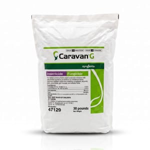Caravan G