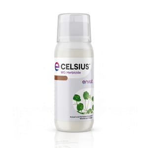 Celsius WG