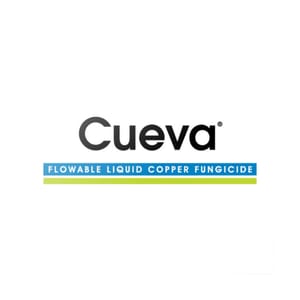 Cueva branding