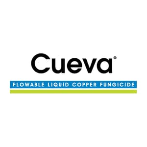 Cueva branding