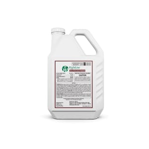 Sulfen Southern branding