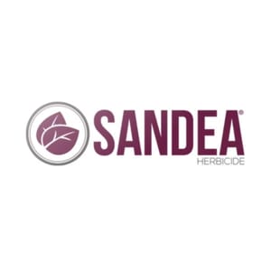 Sandea branding