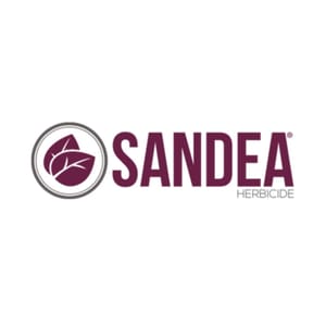 Sandea branding
