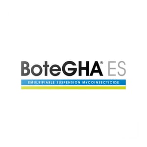 BoteGHA ES branding