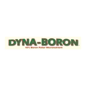 Dyna-Boron branding