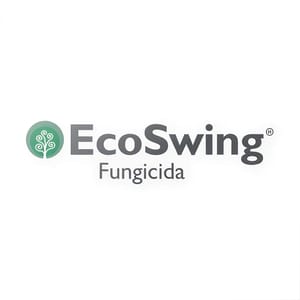 EcoSwing branding
