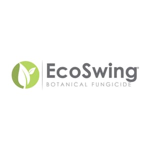 EcoSwing branding