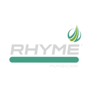 Rhyme branding
