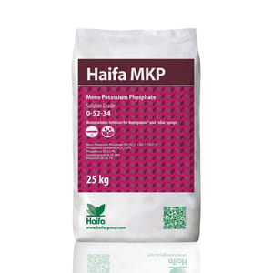 Haifa MKP 0-52-34