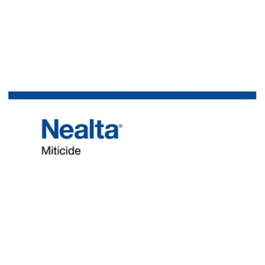 Nealta branding